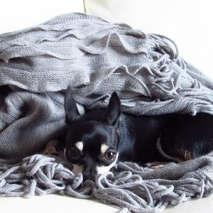 Meet your Posher, Moni